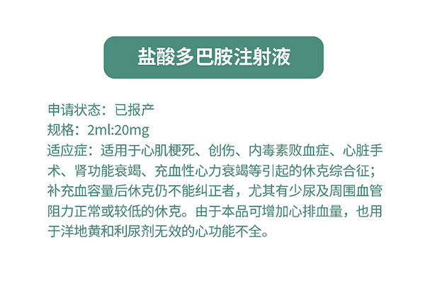 盐酸多巴胺注射液