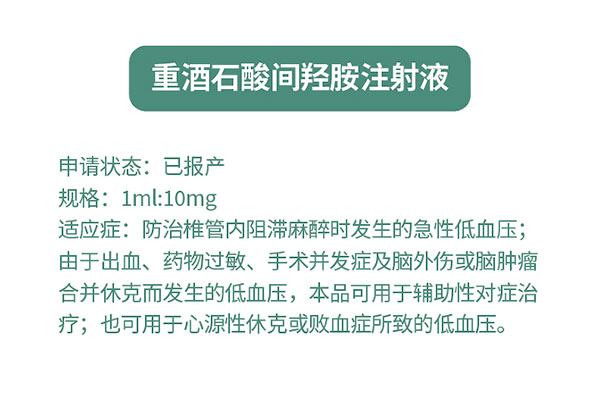重酒石酸间羟胺注射液